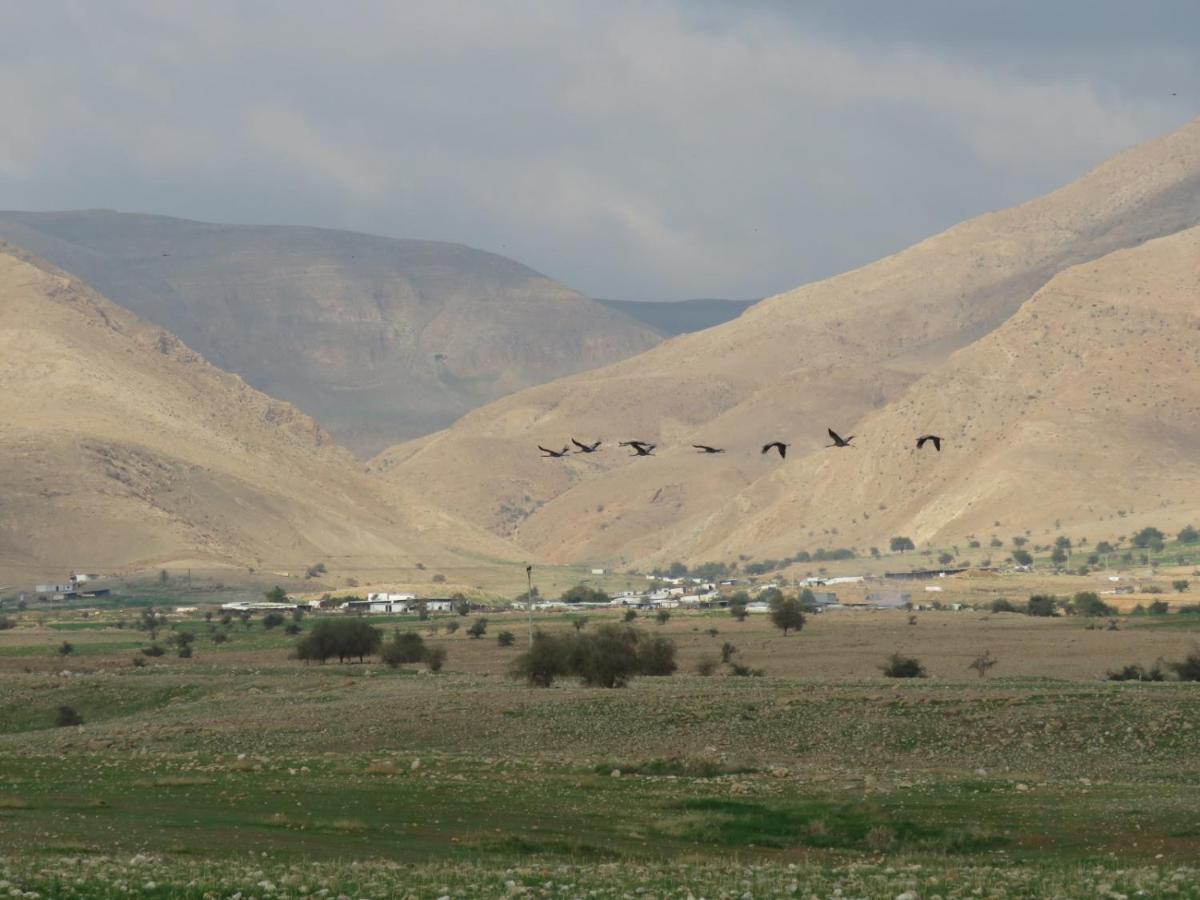 הוילה מקור חיים חוות עינות קדם מראה חיצוני תמונה